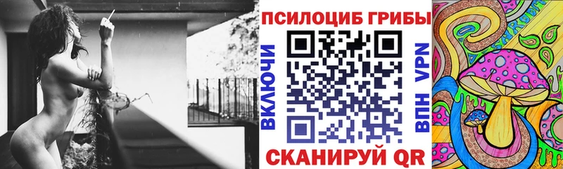 Псилоцибиновые грибы Psilocybine cubensis  закладки  Кулебаки 