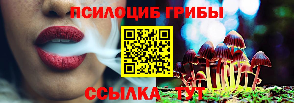 Галлюциногенные грибы Cubensis Кулебаки