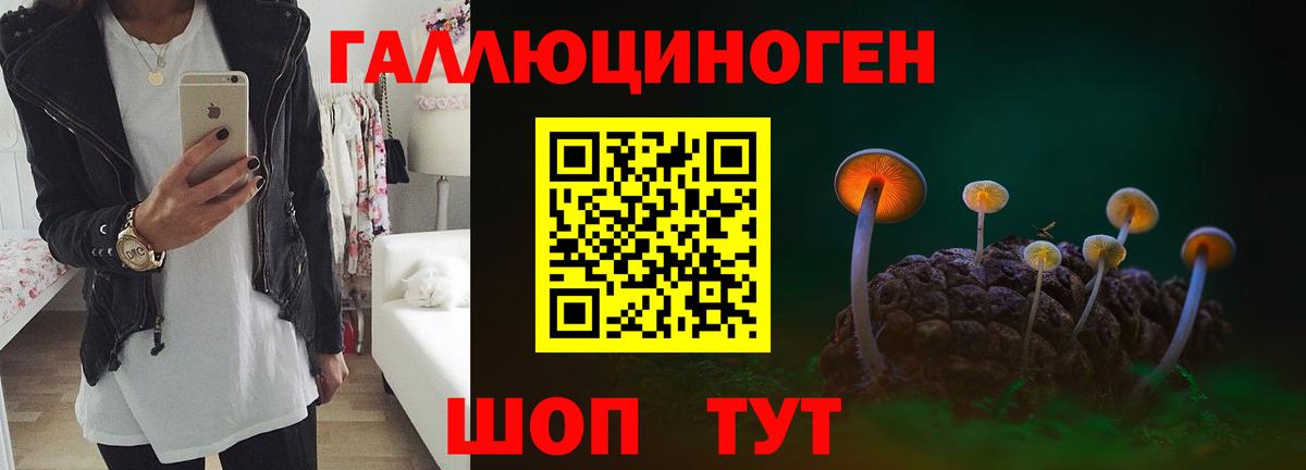 Псилоцибиновые грибы Psilocybe  Вход с VPN  купить  цена  Кулебаки 