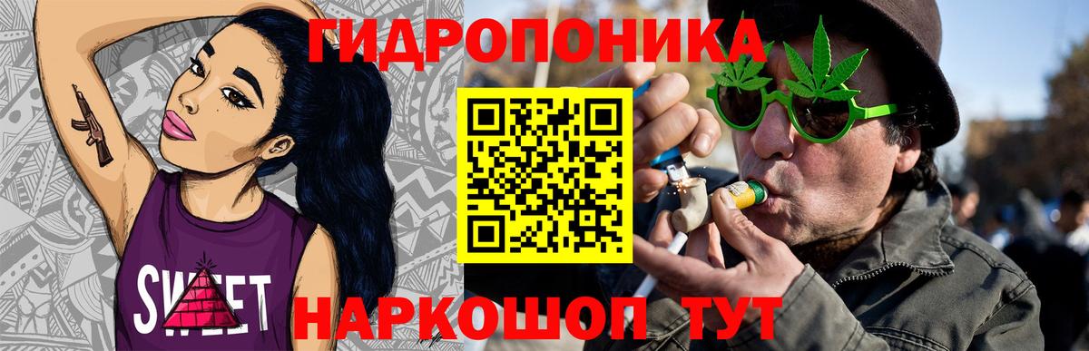 Конопля сатива Кулебаки